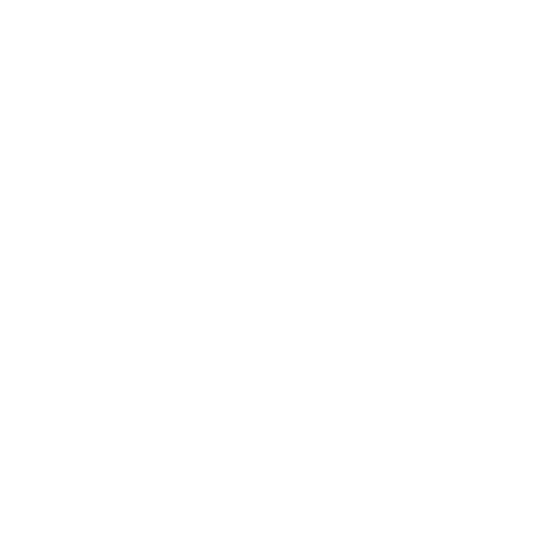 Portfolio icon